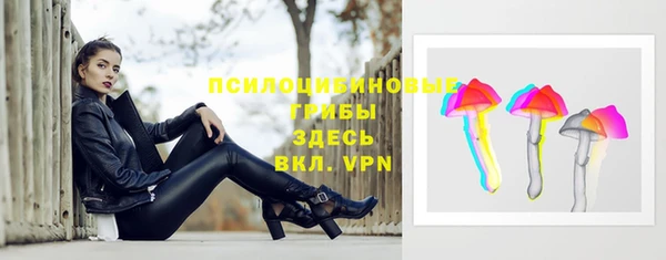 соль курить ск Богородск