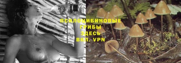 кокаин колумбия Богданович